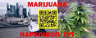 мдпв Можга