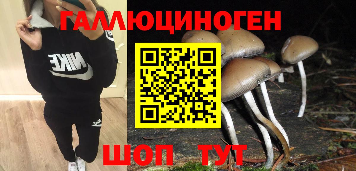 Трёхгорный  Галлюциногенные грибы Psilocybine cubensis  Вход с VPN 